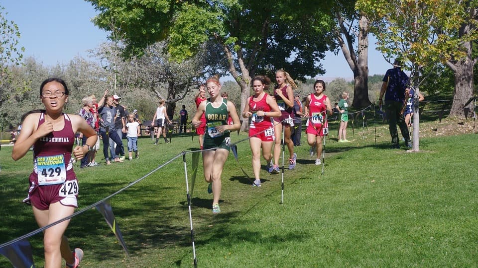 Immagine: Cross di Bieno