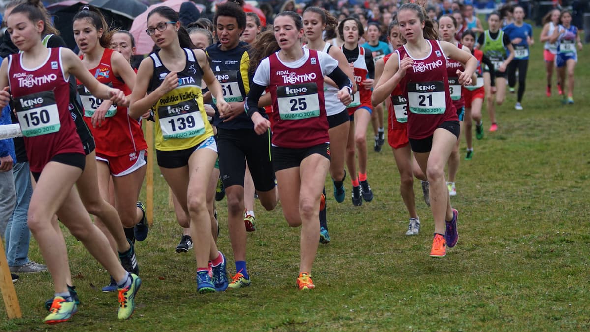Immagine: Festa del Cross