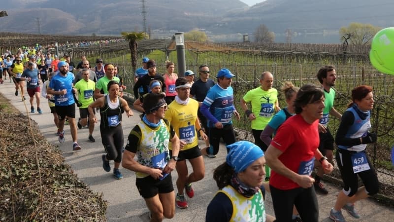 Immagine: Mezza Maratona del lago di Caldaro